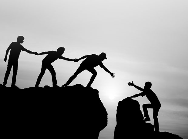 Our Insurance Successes